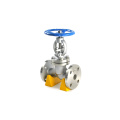 On sale hydraulic actuator 6 inch stainless steel 316 jis 5k50 globe valve plug type